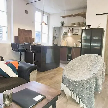 Zencolbert - T3 - Cathedrale - Wifi - Tv トゥール