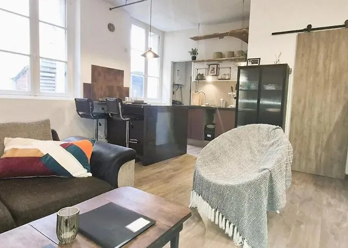 Zencolbert - T3 - Cathedrale - Wifi - Tv トゥール